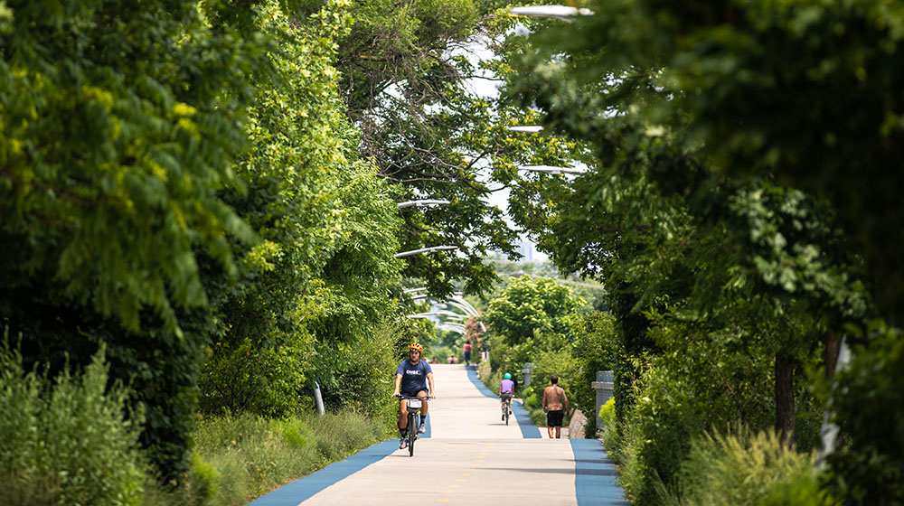 606 train with cyclists and walkers