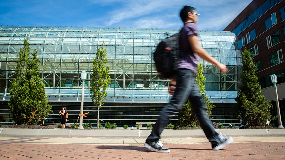 Earn your master's degree from a leader in sustainability. Students can choose from two tracks and take a variety of courses.