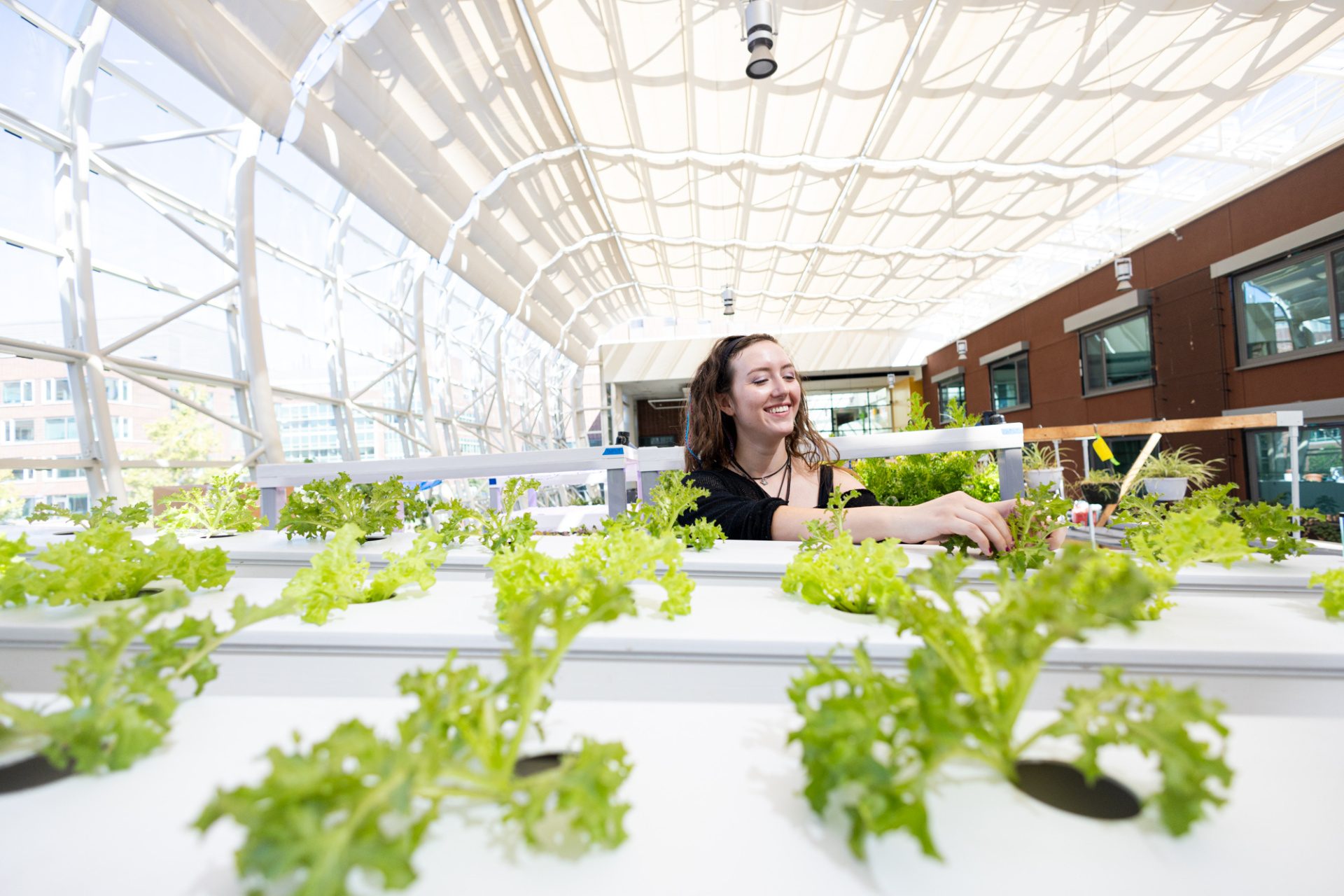 Student in the SES greenhouse