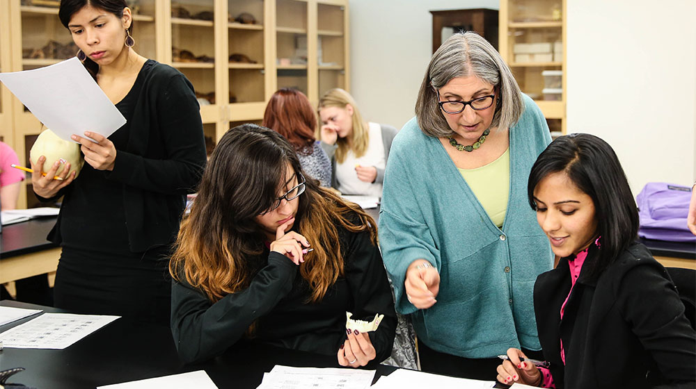 
Human osteology course brings the past to life