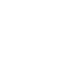 Launch the Virtual Tour