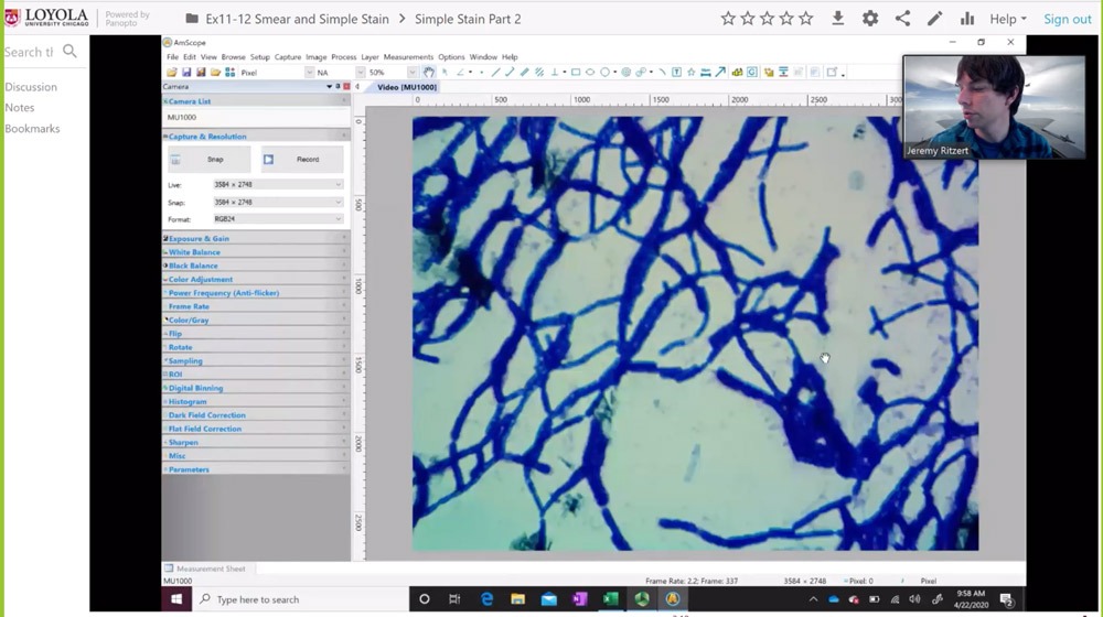 Despite not being in a lab environment, faculty members like microbiology lecturer Jeremy Ritzert are still able to give students a look under the microscope. Ritzert filmed lessons in his lab on campus to use as part of his online course. (Image courtesy of Jeremy Ritzert)
