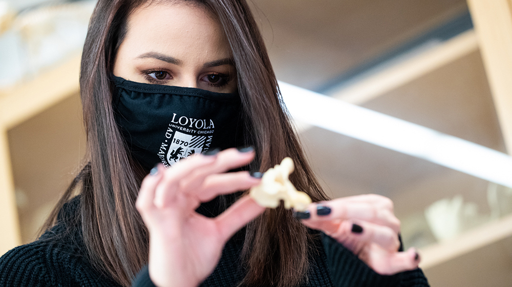 Analyzing bones just isn't the same without holding them in your hands. Students like Victoria Sowa are getting a close-up look at human remains as part of their human osteology lab at Loyola University Chicago. (Photo: Lukas Keapproth)