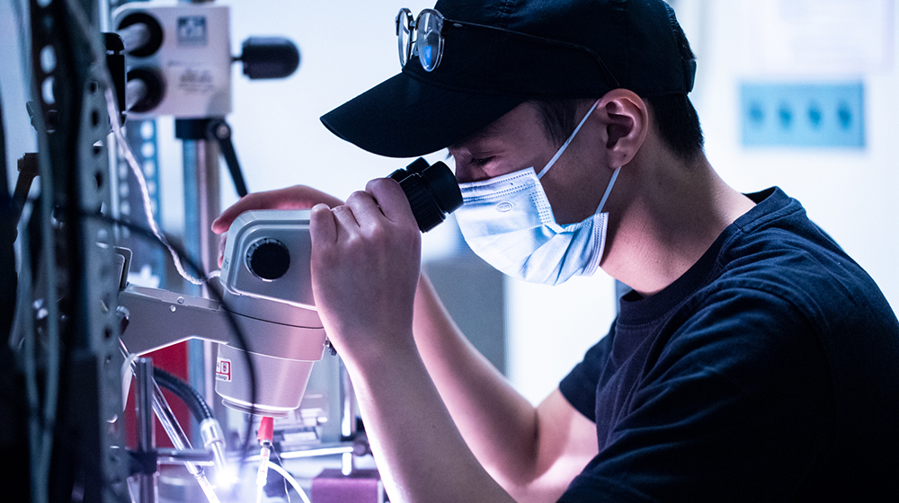 With COVID safety protocols in place, students like senior Justin Domacena are able to continue their research in Loyola University Chicago labs this fall. Domacena is measuring electrical stimulation of nerve tissue in slugs to better understand human pain. (Photo: Lukas Keapproth)