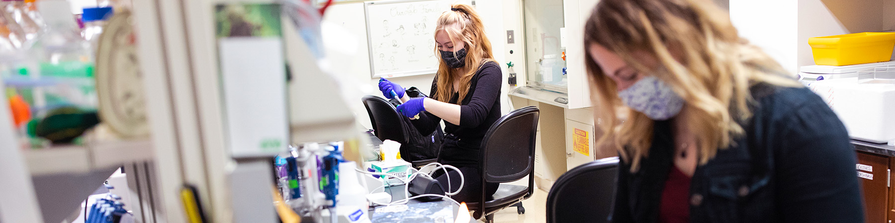 Loyola University Chicago graduate student Taylor Miller-Ensminger works on experiments in the Bioinformatics Lab