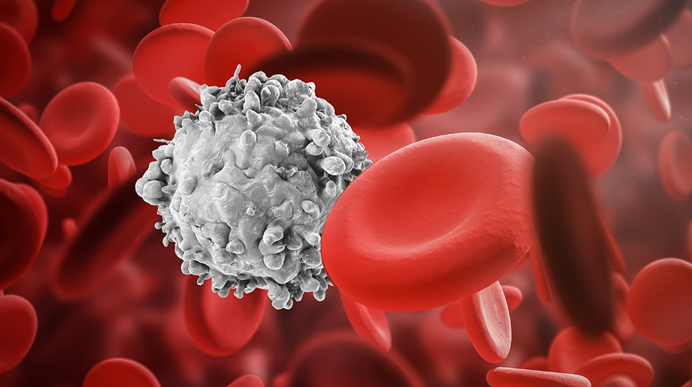 Understanding blood cell development